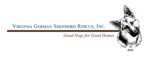 westside german shepherd rescue of los angeles