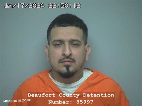 Mishael Macias 01 17 2024 Beaufort County Mugshots Zone