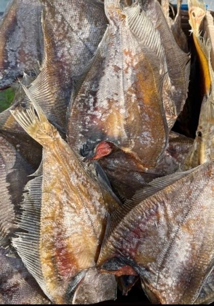 Вяленая Камбала Ерш собственного производства Рыбка очень вкусная Цена ...