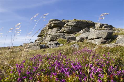 Dartmoor National Parks // Dartmoor Wildlife Park