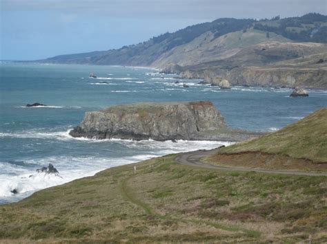 Goat Rock Beach in Jenner, CA - California Beaches