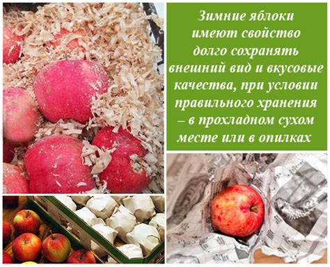 Яблоко - калорийность, полезные свойства, польза и вред, описание ...