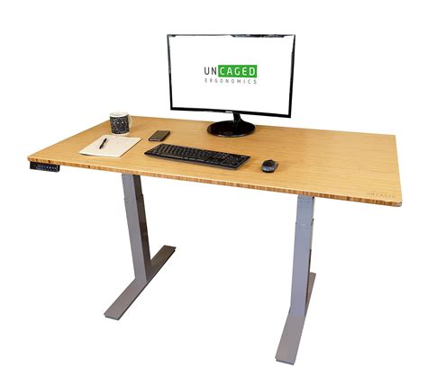 Buy RISE UP Dual Motor Electric Standing Desk 60x30 Solid Bamboo