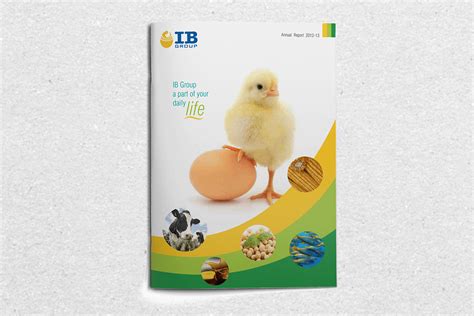 Ib Indian Broiler Group Annual Report Designing 2012 13