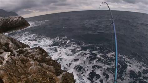 Shore Jigging Bonito Amberjack Barracuda Live Strikes Youtube