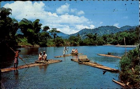 Rafting Party On The Rio Grande River Jamaica