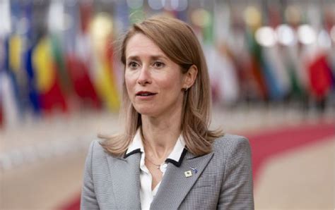 Estonia Ready To Support Rutte For Nato Secretary General Position