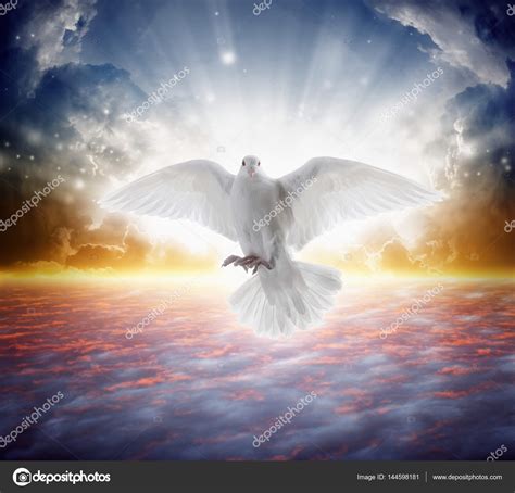 Holy Spirit Bird Flies In Skies Bright Light Shines From Heaven Stock