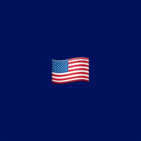 🇺🇸 Flag of the United States emoji Meaning | Dictionary.com