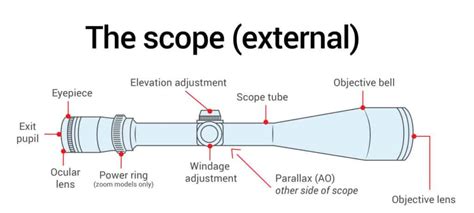 Everything You Need To Know About Rifle Scope