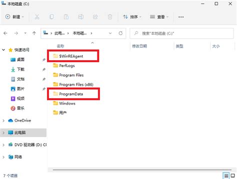 Win11隐藏文件怎么显示？win11查看系统隐藏文件方法[图文教程] 纯净之家