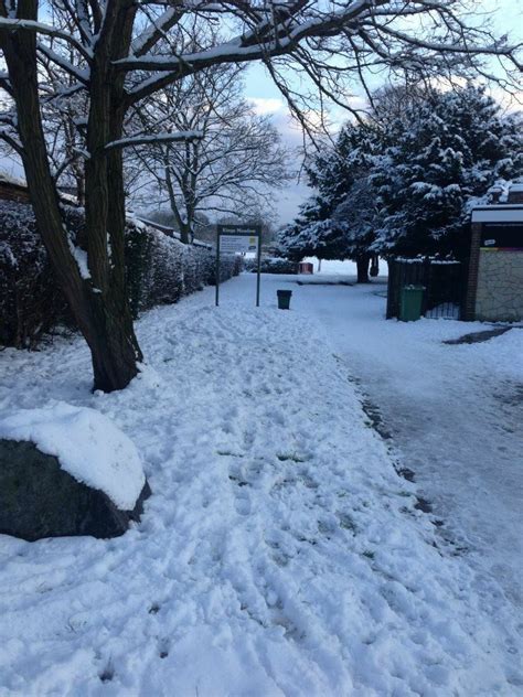 The Snow in Sundridge Park Bromley Kent England on Monday 21st January 2013 | Kent england ...