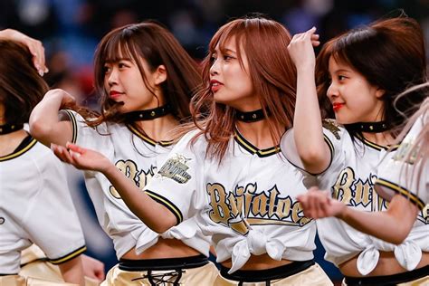 「めっちゃええやん」オリックス球団チア・bsgirlsの“たぬきダンス”が話題に！「心穏やかになりますね」 The Digest