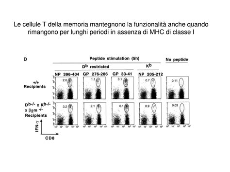 Ppt Cellule T Naive E Cellule T Della Memoria Sopravvivenza Negli