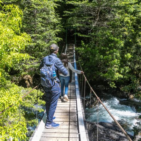 Puerto Blest y Cascada de los Cántaros Vivir Viajes Excursiones en