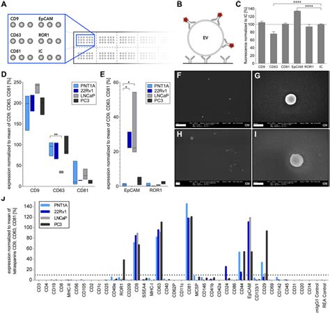 Characterization Of Ev Surface Proteins From Ultrafiltrated