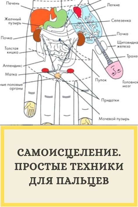 Много интересного и полезного | Биологически активные точки, Здоровье ...