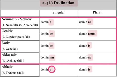 Latein Deklinationstabellen Flashcards Quizlet