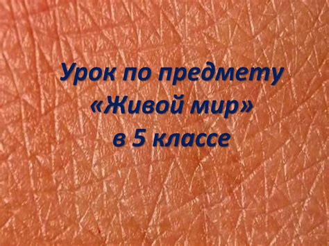 Живой мир. 5 класс - online presentation