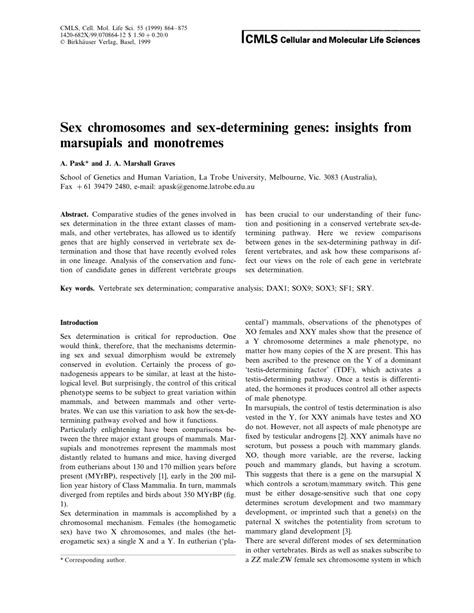 Pdf Sex Chromosomes And Sex Determining Genes Insights From