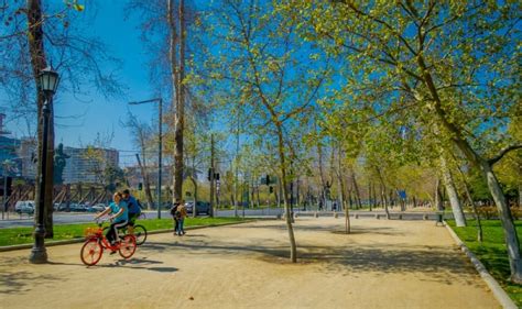 Proyecto De Ley Sobre Arbolado Urbano E Infraestructura Verde Se