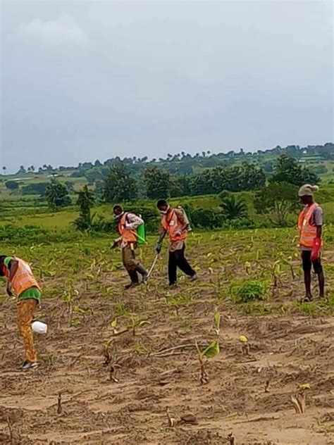 30 Acres Geniune Farmland Available 4sale In Ibadan Agriculture Nigeria