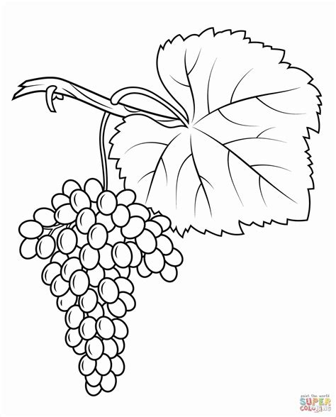 Grape Leaf Coloring Pages