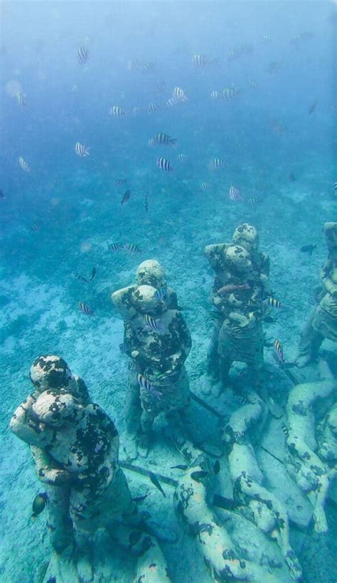 Guide To Snorkeling At The Gili Islands Under Water Sculpture Garden