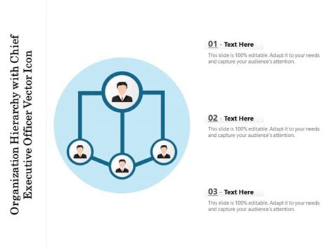 Organization Hierarchy With Chief Executive Officer Vector Icon Ppt