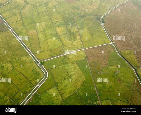 Birds-eye view of a paddy field Stock Photo - Alamy