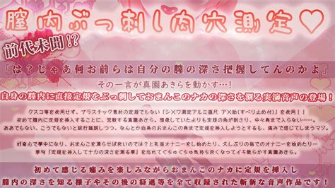 エロ同人傑作選 【実演収録】前代未聞 おまんこに定規ぶっ刺してナカの深さ測ってみた【ハイレゾ音声 真園あきら】 中々奥まで定規をブチ込していたよりも定規の角が刺さり