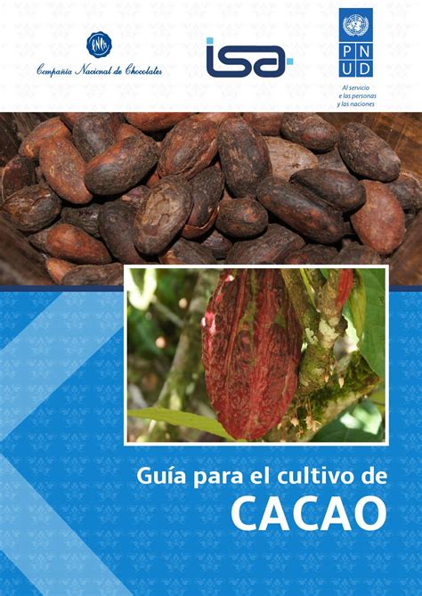 GuÍa Para El Cultivo De Cacao By Pnud Colombia Issuu