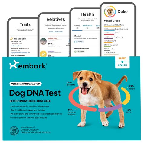 Best Dog DNA Tests 2024: Your Guide to Canine Genetics - Sheffield Dog