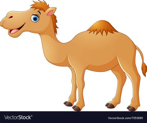 Cute Camel Cartoon Royalty Free Vector Image VectorStock