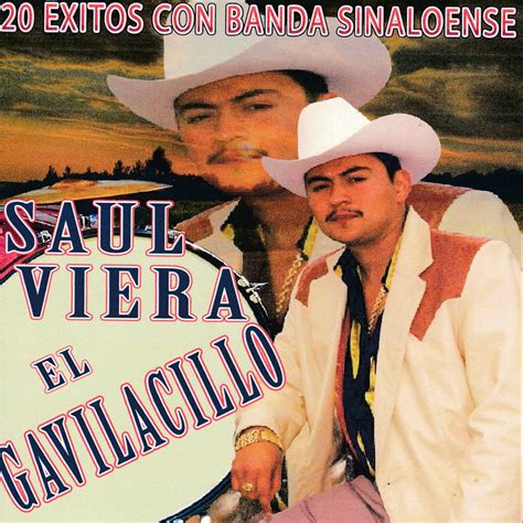 20 Éxitos Con Banda Sinaloense Album by Saul Viera El Gavilancillo