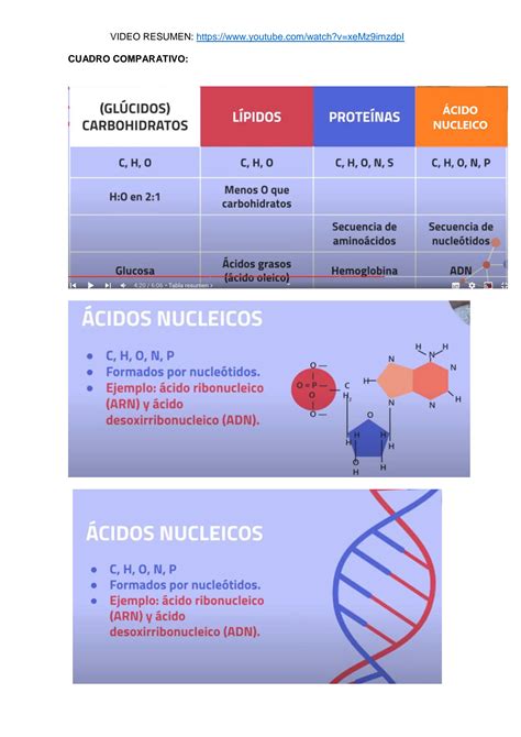 Solution Video Resumen De Carbohidratos Lipidos Protenias Y Acidos