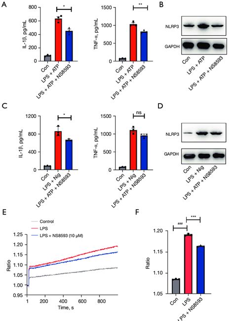 Trpm7 Mediates Nlrp3 Inflammasome Activation Via Ca 2 Signaling A D