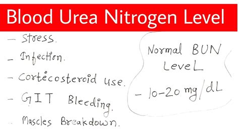 Blood Urea Nitrogen Levels Chart