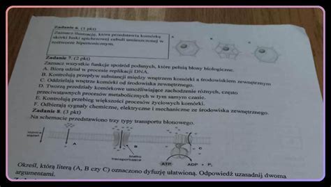 Potrzebuje Odpowiedzi Do Karty Pracy Biologia Szybko Zaznaczam I