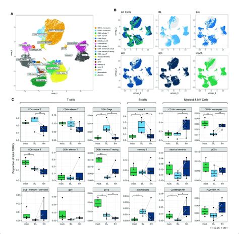 A A Umap Plot Showing 19 Manually Annotated Cell Types From 24 Download Scientific Diagram