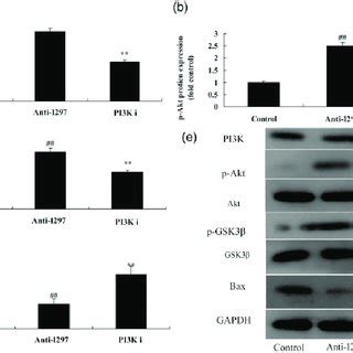 MicroRNA 1297 Induces Neuronal Apoptosis In The Sevoflurane Exposure