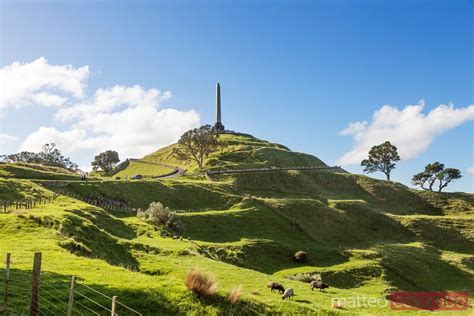 Un monument célèbre de colline darbre Auckland Nouvelle Zélande