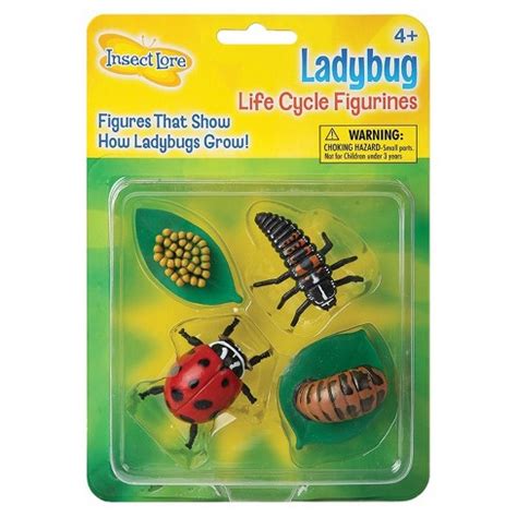 Insect Lore Ladybug Life Cycle Stages : Target