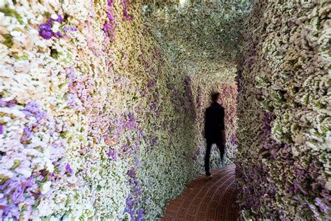 Vuelve FYJA El Festival De Flores Y Jardines En Polanco