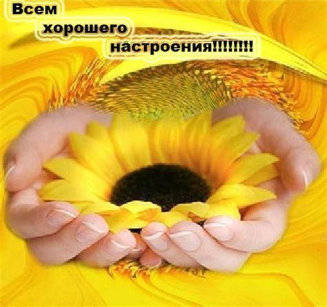 Как я поднял себе настроение!