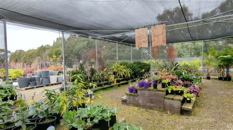 Diaco S Garden Nursery Geelong Whatsbest Australia