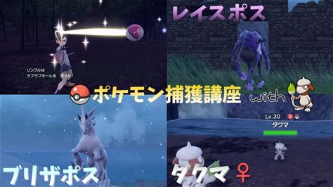 【ポケモンsv】 ドーブルを使った準伝説ポケモン捕獲講座④ ～ポス馬編～ ＋ ダクマ 性別厳選 Youtube