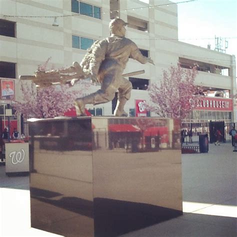 Josh Gibson Statue Between The Cherry Blossoms Cherry Blossom