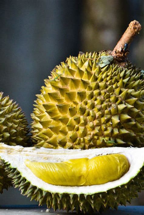 Durian Fruit Or Vegetable - Tere Fruit