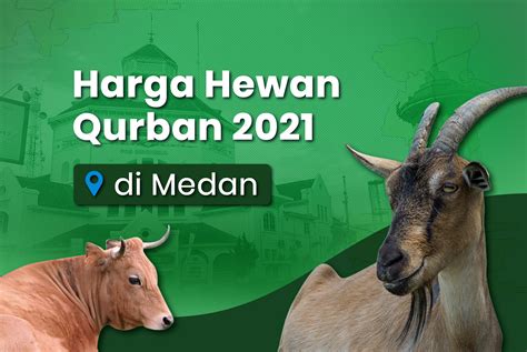 Harga Sapi Qurban Newstempo